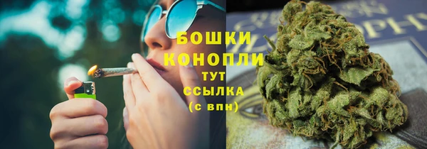 хмурый Лагань