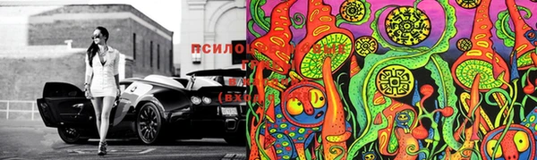 ECSTASY Лабытнанги