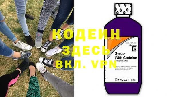 хмурый Лагань