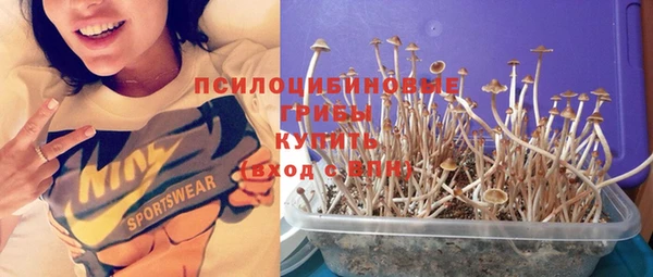 прущая мука Вязники