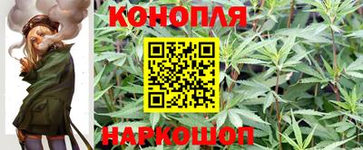 apvp Ипатово