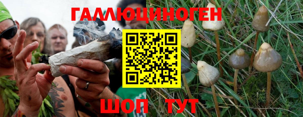 Псилоцибиновые грибы MAGIC MUSHROOMS  Галлюциногенные грибы ЛСД  Мценск  наркота  Вход с VPN 
